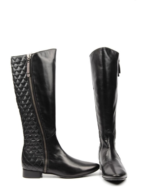 STIVALE 53780