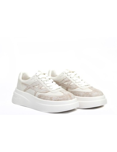SNEAKER INSTANT