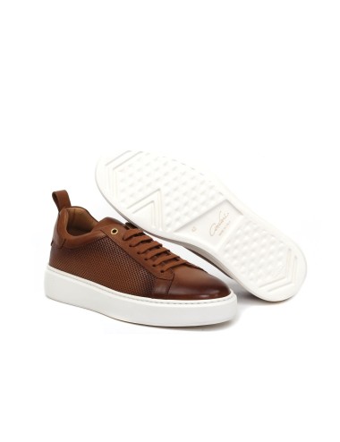 SNEAKER 2321