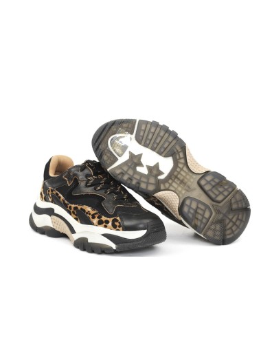 SNEAKER ADDICT