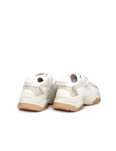 SNEAKER ADDICT