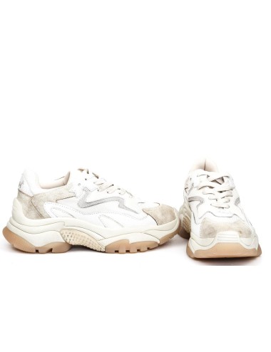 SNEAKER ADDICT