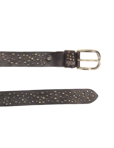BELT PV2222