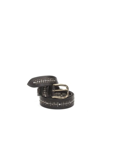 BELT PV2221