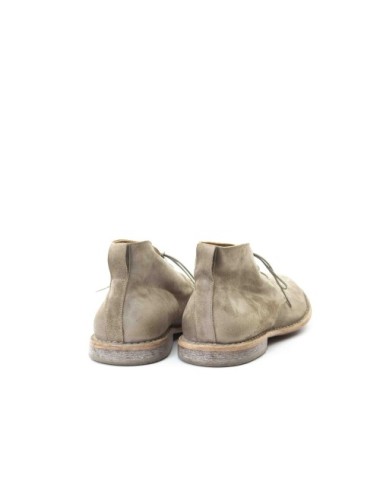 POLACCO 2BS025-LIG