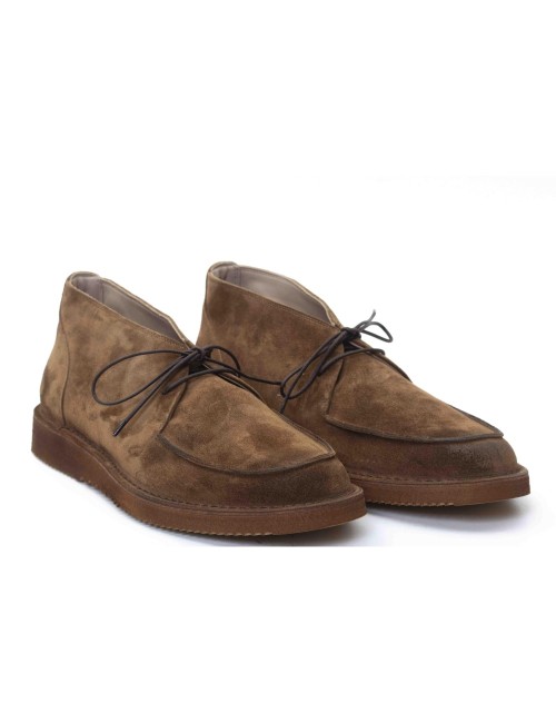 POLACCO 18500A