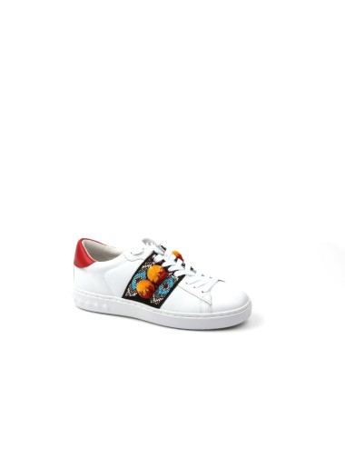 ASH SNEAKER PAPOU